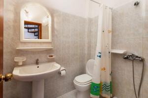 阿里克斯阿强德卡豪宅酒店的一间带水槽、卫生间和淋浴的浴室