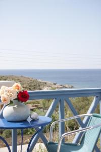 梅加斯·亚洛斯-奈特斯马诺斯公寓酒店的花瓶坐在阳台上的桌子上
