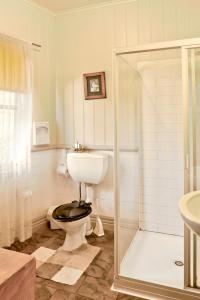 Central TilbaStay at Tilba的白色的浴室设有卫生间和淋浴。