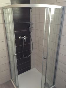 帕索尔维基Villa Marcus的带淋浴的浴室,带玻璃门