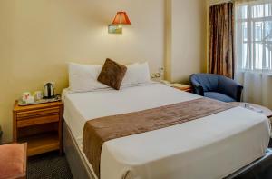 哈拉雷新大使酒店的酒店的客房 - 带一张床、椅子和窗户