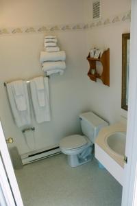 Brier Island Lodge的一间浴室