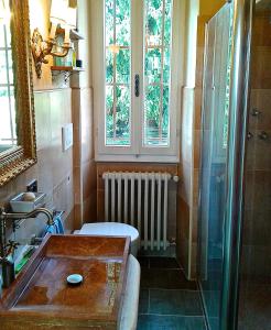 内比乌诺天鹅湖旅馆的带淋浴、卫生间和盥洗盆的浴室