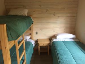 普孔Loft Pucon的一间卧室设有两张双层床和床头柜。