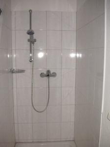 萨尔茨堡海林阁公寓的浴室内配有淋浴和头顶淋浴