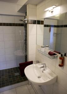 弗雷兴罗卡姆酒店的一间带水槽、淋浴和镜子的浴室