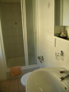 戈尔多拉加尼罗莎阿尔皮酒店的一间带水槽、淋浴和卫生间的浴室