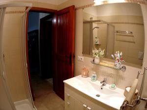 孔韦尔萨诺Villa Maria的一间带水槽、镜子和淋浴的浴室