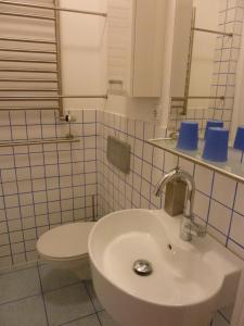 杜塞尔多夫莱辛公寓 的浴室配有白色卫生间和盥洗盆。