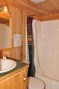 Elkhart LakePlymouth Rock Camping Resort Deluxe Cabin 16的一间带水槽、卫生间和淋浴的浴室