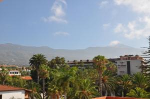 拉克鲁斯Apartment La Paz的棕榈树城市和山地背景