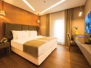 伊斯坦布尔黑斯图瑞客布鲁维酒店的酒店客房设有一张大床和一台电视。