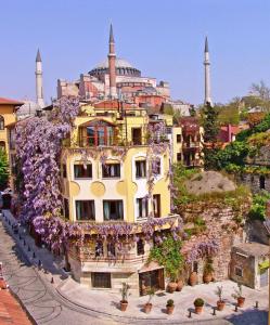 伊斯坦布尔佐伊女皇酒店 的城市前方一座花紫色的建筑