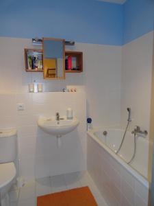 哈拉霍夫Ski-Bike Čertovka的浴室配有盥洗盆、卫生间和浴缸。