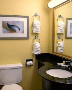 弗吉尼亚海滩海滨酒店 - 维吉尼亚海滩的一间带水槽、卫生间和镜子的浴室