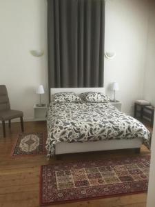 斯特拉斯堡Appartements chez Tante Germaine - Proximité Institutions Européennes的一间卧室配有一张带被子和地毯的床