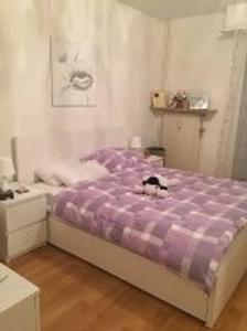 巴塞尔Schöne Suite in der City of Basel的一只猫坐在卧室的床上