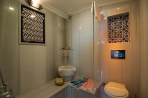 伊斯坦布尔Blue Mosque Suites-Old City Sultanahmet的带淋浴、卫生间和盥洗盆的浴室