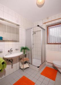 图克斯Haus Leonhard的带淋浴、盥洗盆和卫生间的浴室