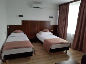 BrzeziePod Kominem Pokoje i Apartamenty的一间卧室设有两张床和窗户。