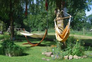 杜德尔多夫Ferienwohnung Cillien的花园里挂在树上的吊床