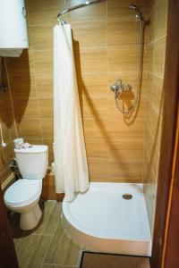德罗霍贝奇Zarichna的一间带卫生间和淋浴的小浴室