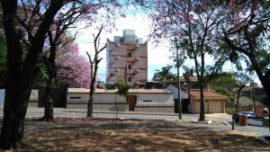 亚松森Acosta Ñu Apart Hotel的一座树木繁茂的公园和一座建筑