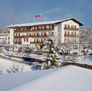 马洛斯科帕诺拉马疗养度假酒店的雪地里的一个酒店,有圣诞树