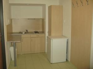 布拉迪斯拉发乌尼诺瓦旅馆的一间带水槽和冰箱的厨房