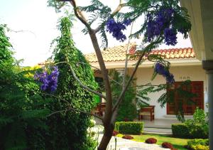 Tenancingo de DegolladoHotel El Portón的一座房子前面一棵紫色花的树
