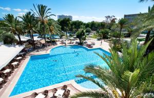 坎皮卡福特格兰维斯塔水疗集团酒店的棕榈树度假村游泳池的顶部景色