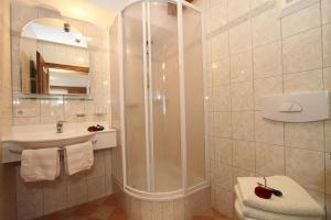 罗孚尔Hotel - Wirts'haus "Zum Schweizer"的带淋浴和盥洗盆的浴室