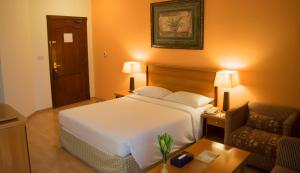 科威特萨利米亚罗伊尔依科普莱斯酒店的配有一张床和一把椅子的酒店客房