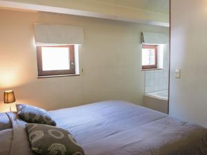 马尔梅迪Luxury Apartment in Malmedy with bubble bath的一间卧室设有一张床、一个窗口和一个浴缸