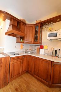 比尔什托纳斯Ramresort Apartment的一个带木制橱柜和水槽的厨房