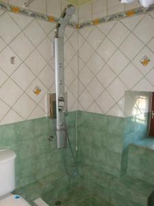 桑加拉达克列奥帕特拉旅馆的带淋浴的浴室和卫生间