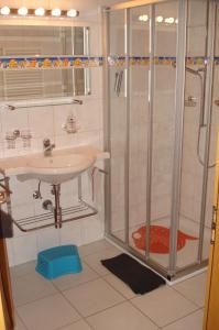 阿德尔博登伯格多尔公寓的带淋浴和盥洗盆的浴室