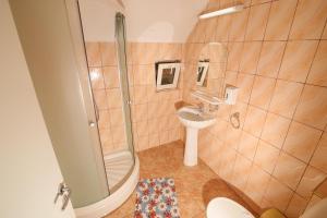 普雷代亚尔Motel Cotul Donului的带淋浴、卫生间和盥洗盆的浴室
