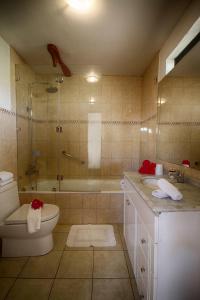 安加罗阿Pikera Uri Eco Lodge的带淋浴、卫生间和盥洗盆的浴室