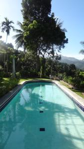 马特莱斯特拉塞斯茶园简易别墅旅馆的一个种有树木的大型蓝色游泳池