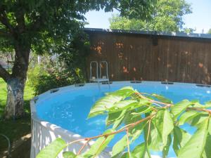 德累斯顿克罗兹施花园公寓的后院的游泳池,有树