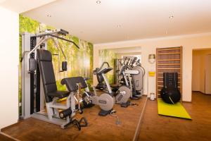 弗拉绍福勒伦霍夫酒店的健身房设有数台跑步机和健身器材