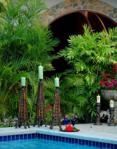 科罗萨尔Almond Tree Hotel Resort的一组蜡烛坐在游泳池的顶部