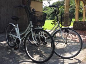 西表岛玛雅古斯库度假酒店的两辆自行车,两辆自行车在两辆自行车上放置篮子,