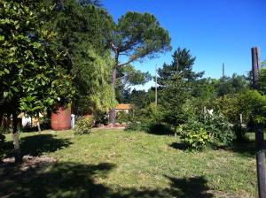 CupramontanaVilla Nunzia的一座有树木和草地的院子