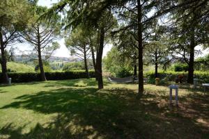 CupramontanaVilla Nunzia的草丛中树木繁茂的公园和吊床