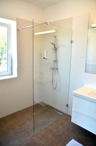 穆勒克Gasthof Röck的一个带水槽的玻璃淋浴间