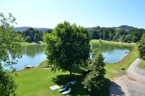 穆勒克Gasthof Röck的享有湖泊的空中景致和树木