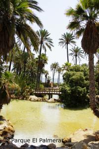 阿利坎特Alicante Apartments的棕榈树和桥梁的水池