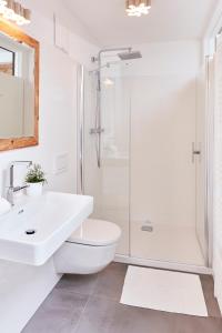 克勒希Weinberg Lodge - Kellerstöckl的白色的浴室设有水槽和淋浴。